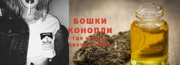 крисы Горняк