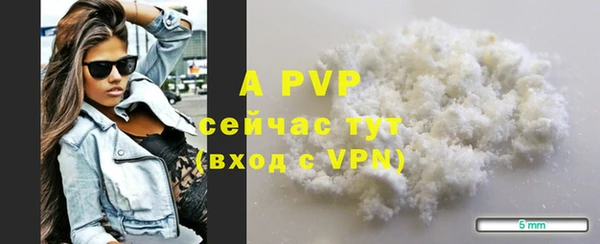 дмт Гусев