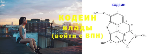 прущие грибы Волоколамск