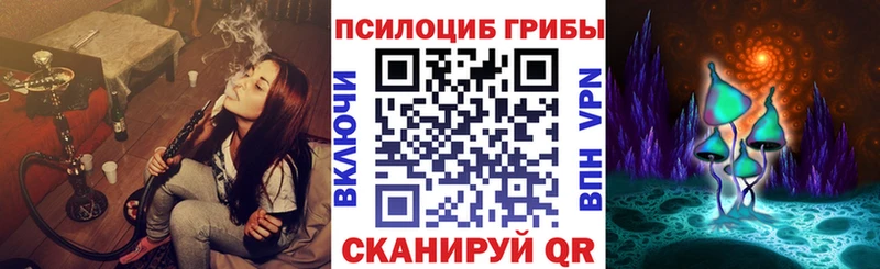 Псилоцибиновые грибы Psilocybine cubensis Дорогобуж