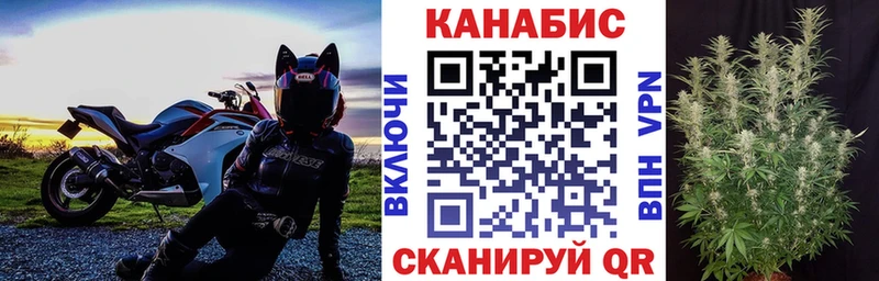 Бошки Шишки семена Дорогобуж